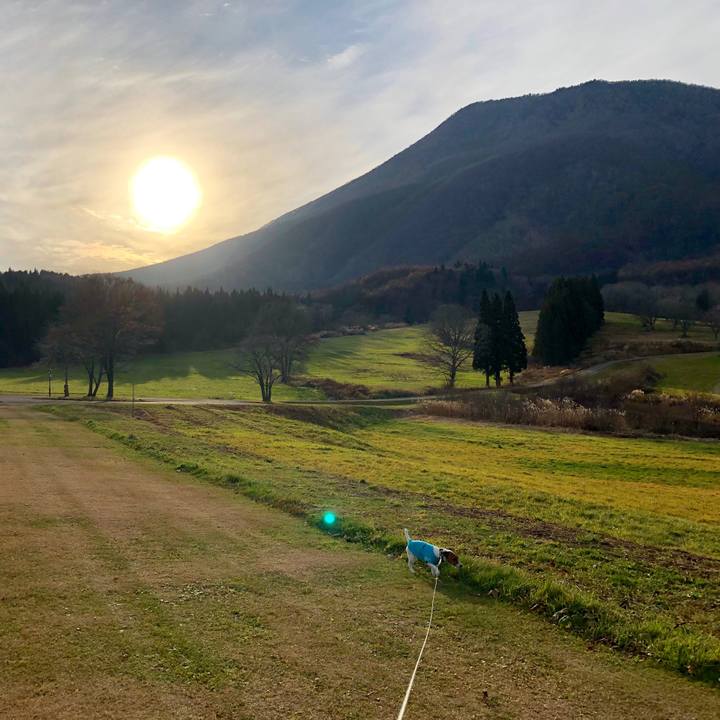 80df6c34 9f2d 4f75 aa6b dadb967d2023 1542794266730