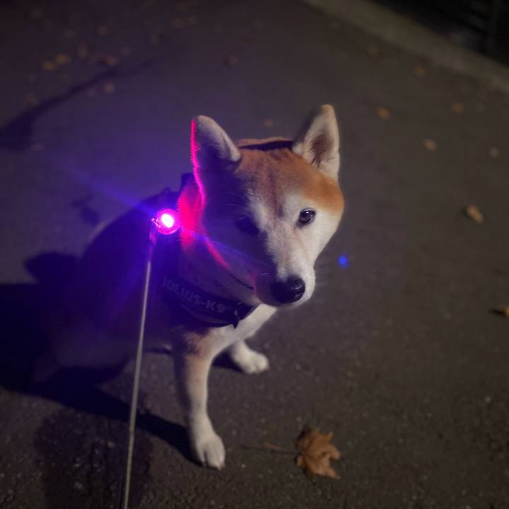 80df6d4c ab6a 421f 944b be9bf3d9611a 1633944835322