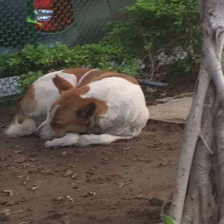 80df7b02 f4a9 44ef b8f6 4116bc3cff67 1523187971073