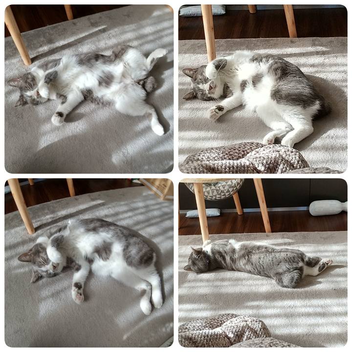 80df96ee aed6 4c44 83e6 d5ea80b0fa10 1609557833194