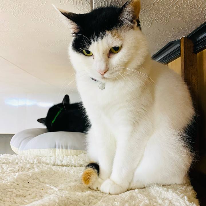 80dfa772 c3dc 4462 9cdd 516fac19be89 1682374921541