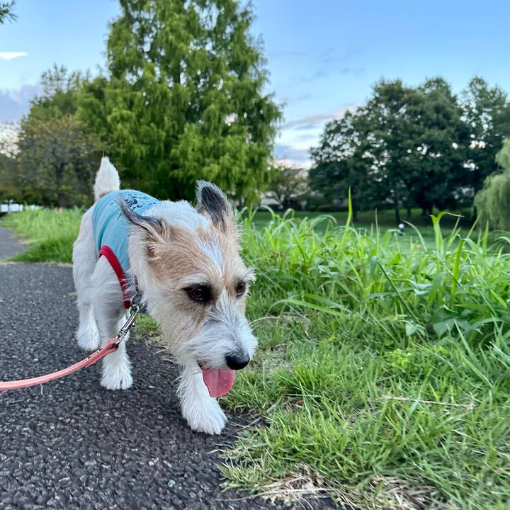 80dfaa79 9672 4723 a390 b7d8393a7683 1694425095432