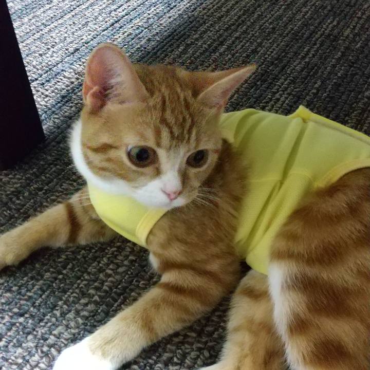 80dfb5f5 bd2c 4a9e 9ff8 ac21d790ab80 1628771040951