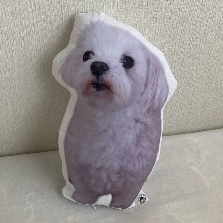 80dfc158 bd0f 480f 8950 a87b4320eb3c 1723127868347