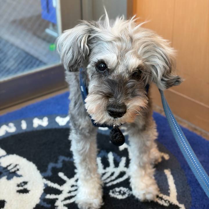 80e03fc2 8a5a 46e1 ba27 3fb9759ea4a8 1771415276723