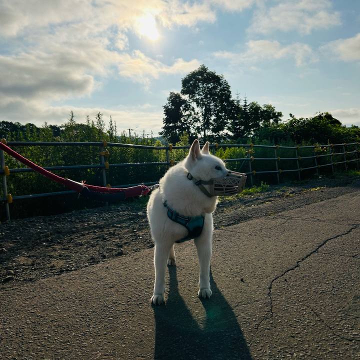 80e05c69 2a60 42f6 ba7c a21e457b0500 1720907340734