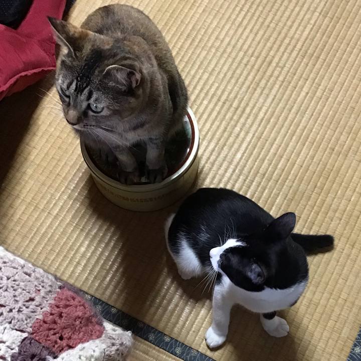 80e06e32 0167 471a 951a 3aa3ba0ce514 1631522799272