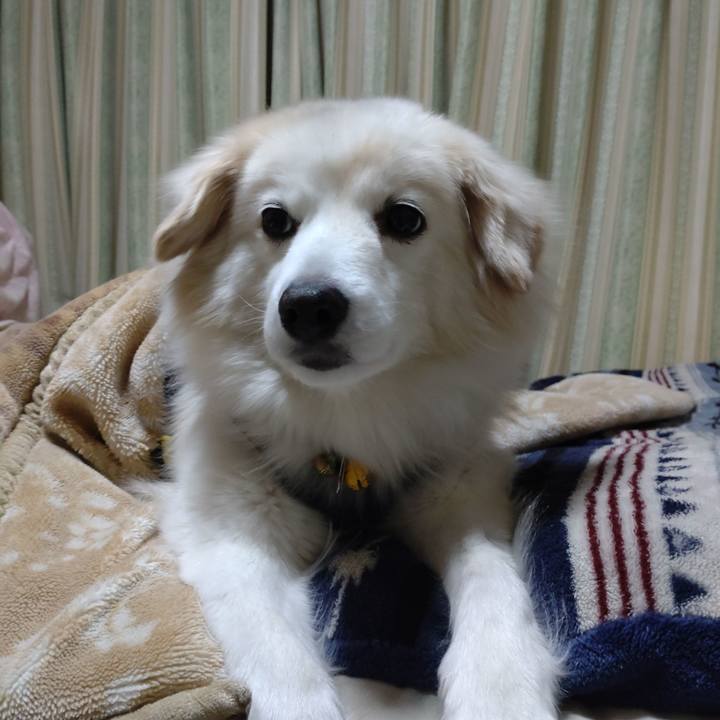 80e09a6c cb6d 4785 8d35 0f08e1d42a30 1644878693732