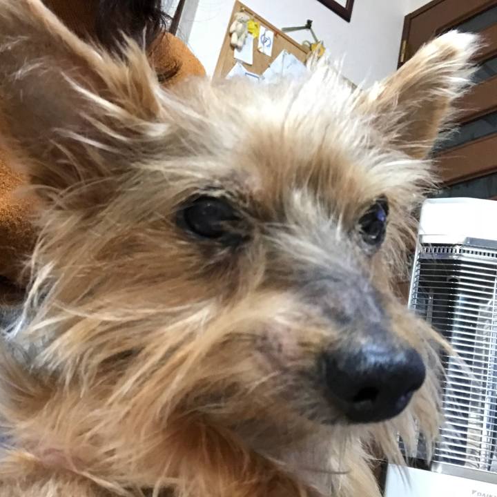 80e09d06 4a2d 4298 a6d6 98614b75f7cd 1510356042960