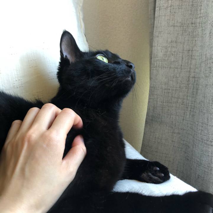 80e09f93 3e3c 4873 ab64 3ea3e3c43cb5 1621903719837