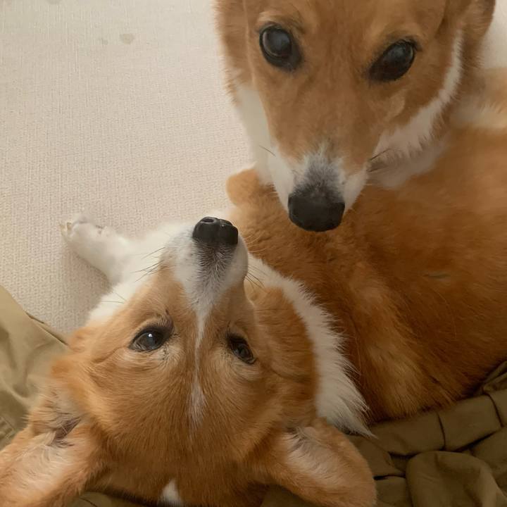 80e0d0d8 2428 490f 9f7f acf7d71e9ee9 1690507693136