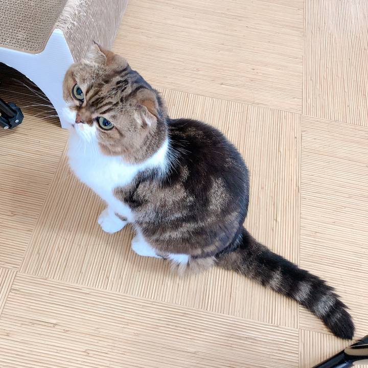 80e0da65 c1f8 42aa 897b 4ed33a21fd7d 1570187301093