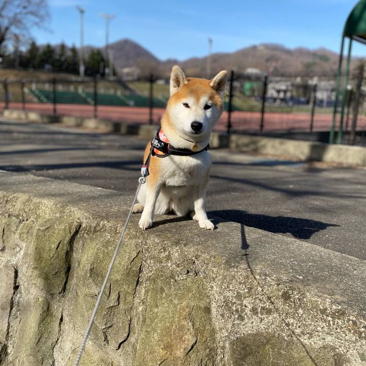 80e0f03d fa63 4215 9cff c51e9aeebad1 1618533064943