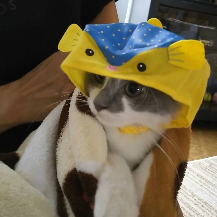 80e108fe 5d2a 4bd3 8cb7 df3020db2baa 1565577669449