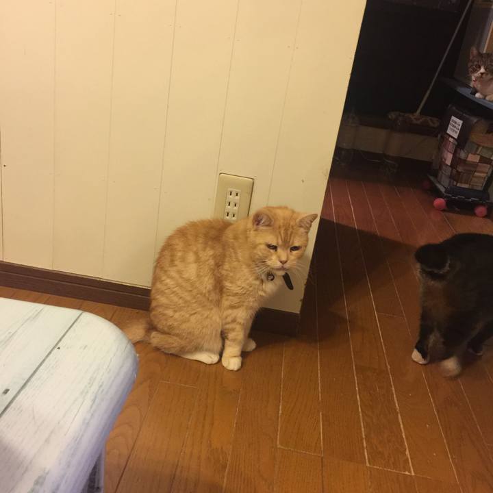 80e146f6 91d9 4b4c 93d4 8b92c7288285 1558885585362