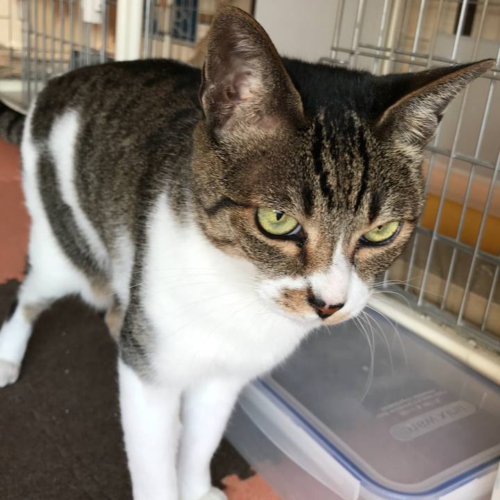 80e1692c d2a4 4e2f ae52 0892c796cf27 1511746187367