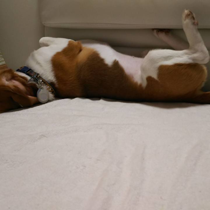 80e18e99 1006 4635 a716 ecfd7c71ffa0 1526732627416