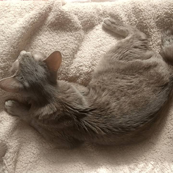 80e1ac34 47da 4994 9fe4 9d1d38fc951a 1699493770047