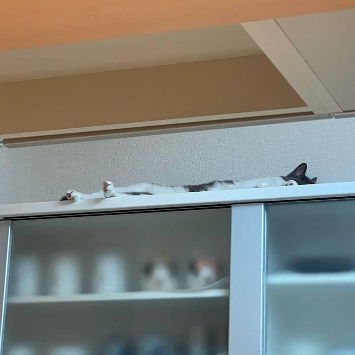 80e1d477 c056 4ef4 8003 6ea38540fb31 1636276271044