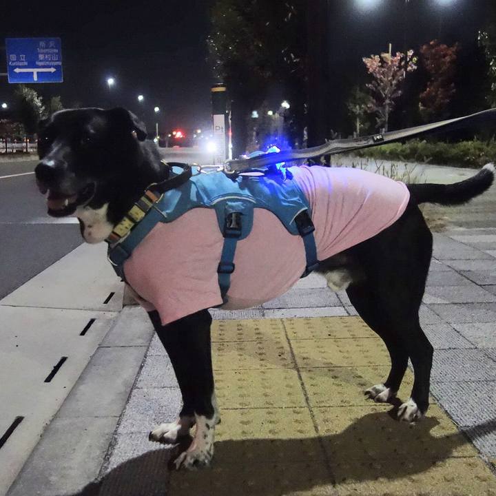 80e1f35e 18fd 4379 8631 c39abffce75b 1702206485318