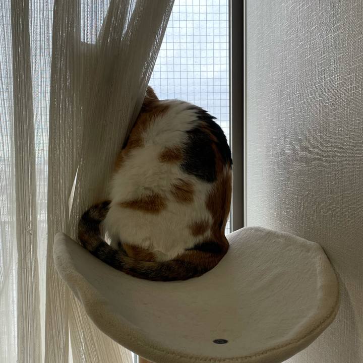 80e203c8 79e2 44e8 bd28 b4a8e58a6a7c 1612222250617