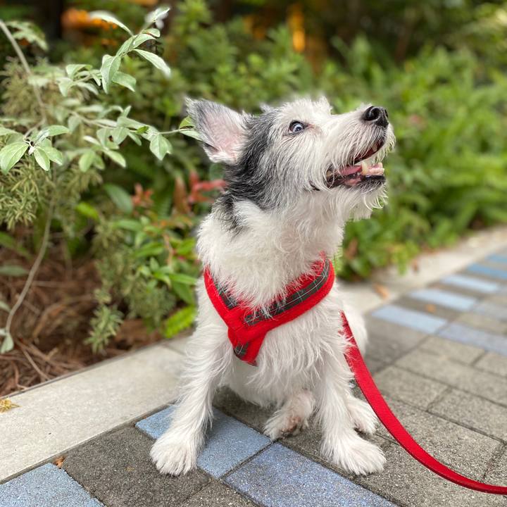 80e20c9c 860f 4250 8e85 ef49c77667cb 1601813951854