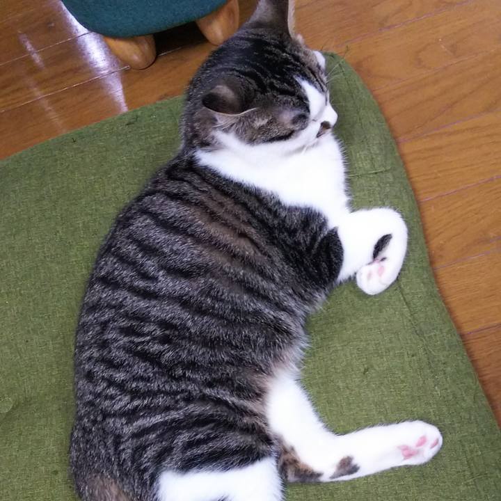 80e23a28 08a2 4c6c 9a91 ad4be6fc3383 1618749072816