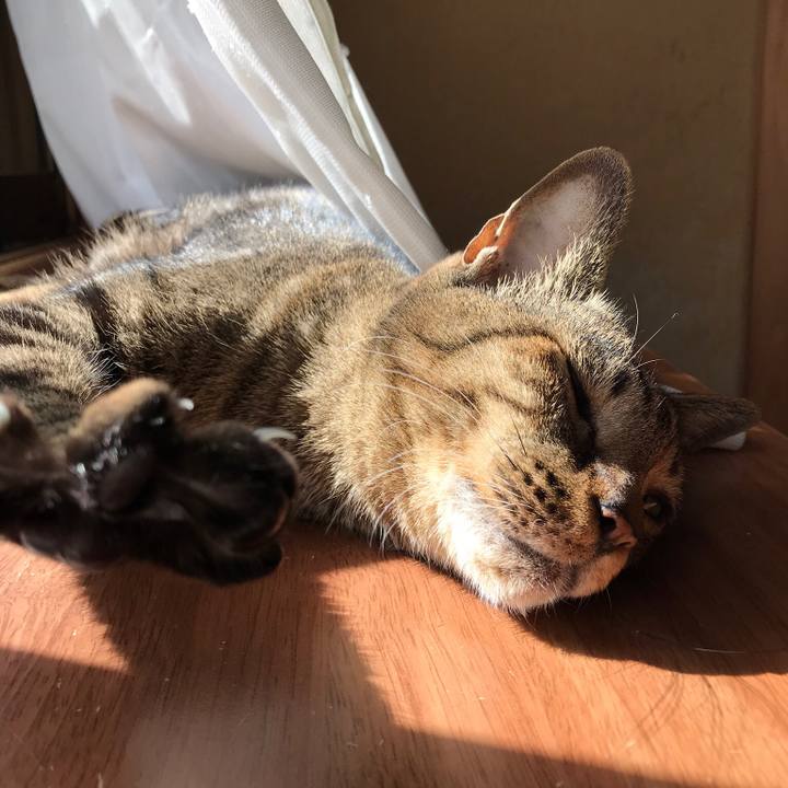 80e2492b bdc1 4142 8640 0960709cd22c 1520298300639