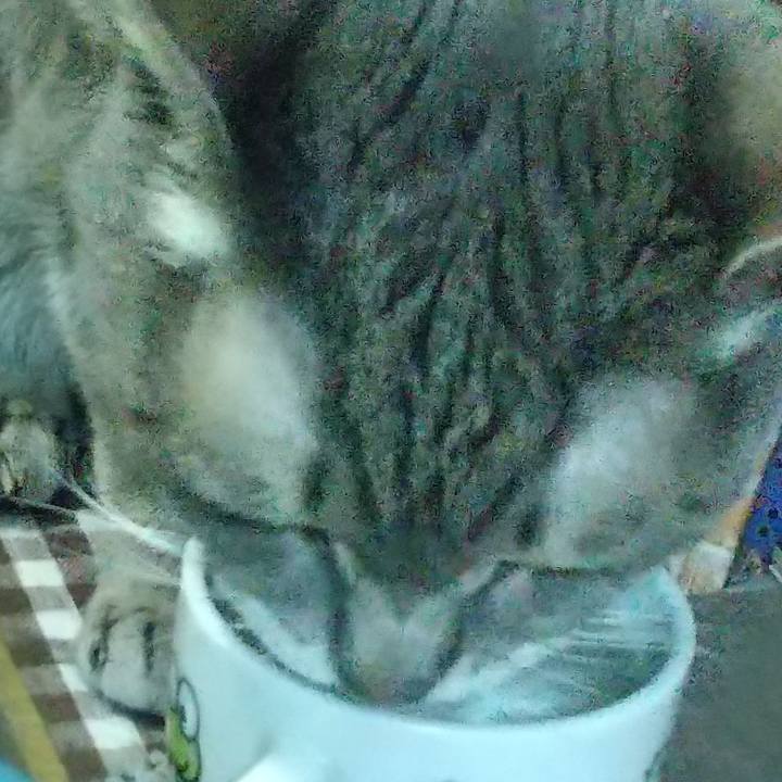 80e264a8 a6a4 4da2 b99b 7755348d1cf9 1697843412050