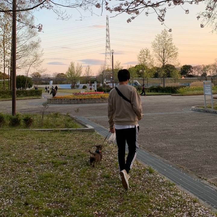 80e298c8 7051 4ab6 8ffe ab7a7af5b80d 1586583270061