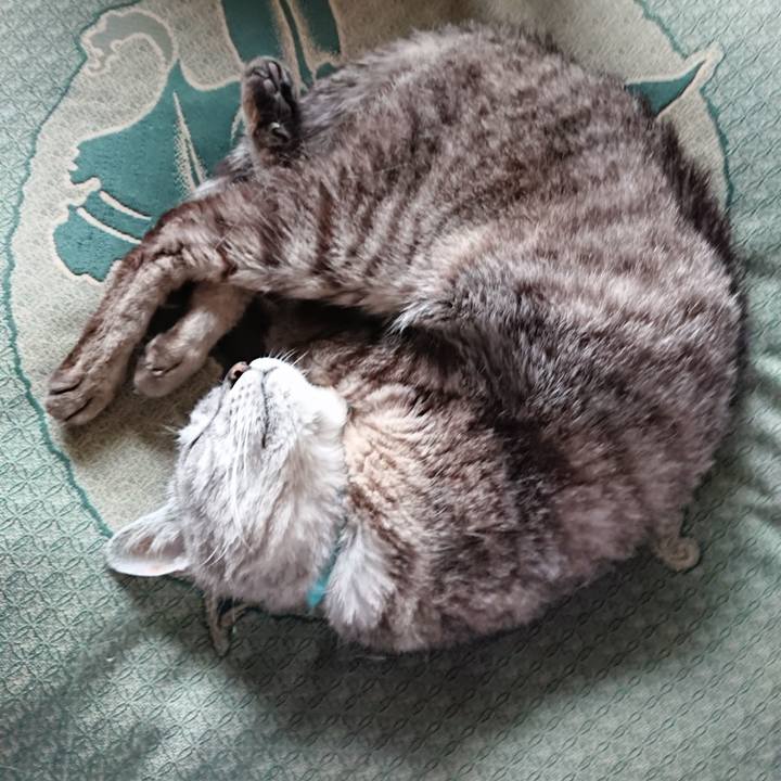 80e2a301 8d55 4c98 a576 237e21a8426f 1565901381286