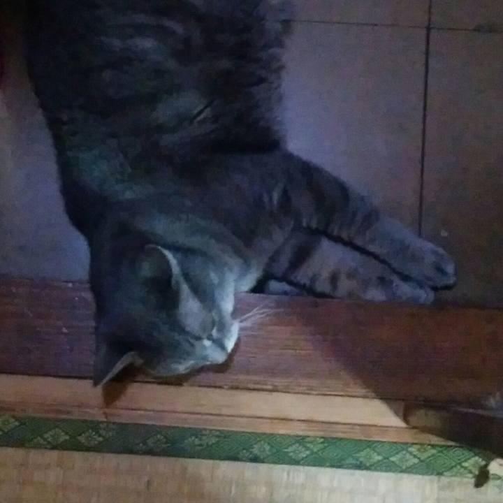 80e2d80f d96a 4fc8 a5da 46080cd9bd77 1535446568453