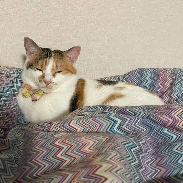 80e2e70d 213d 4829 83d5 fa5cca1815c1 1634168174693