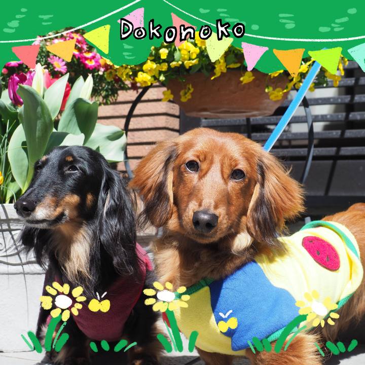 80e31fff 585b 45b3 b80a b1df7353299d 1711506186362