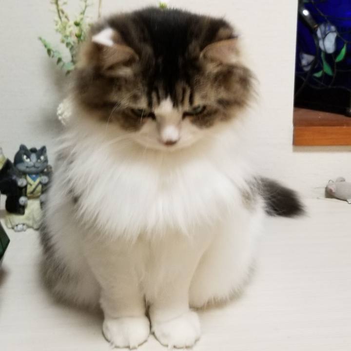 80e3577a c8f6 450d 8f32 2e3f5d790569 1578403624612