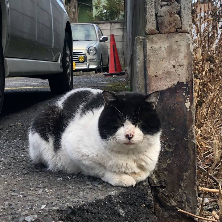 80e38d6c 8a4d 46e8 86ef 09410c4f29e3 1644051200170