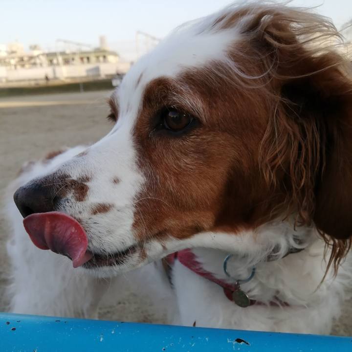 80e3cef1 51ed 4ae8 9666 5eba907a91a6 1605570851135