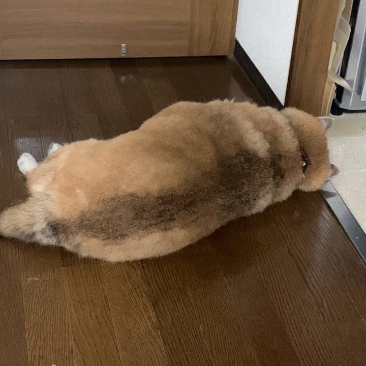 80e3d3cf 1f0a 42cb 989a ba74dd1d0a74 1609167398841