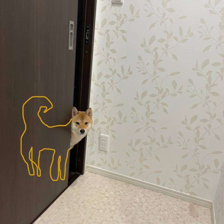 80e3f087 8704 4d4c 9ca5 f5cf4d9f41c3 1666391787770