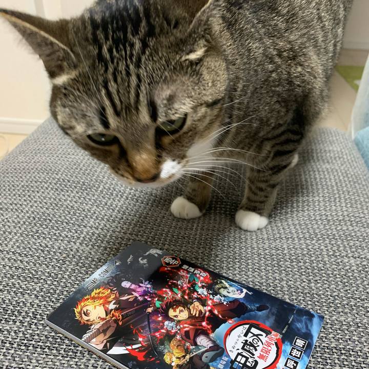 80e3f412 48d3 4fd2 a788 fd1cdd4e7071 1604102478453