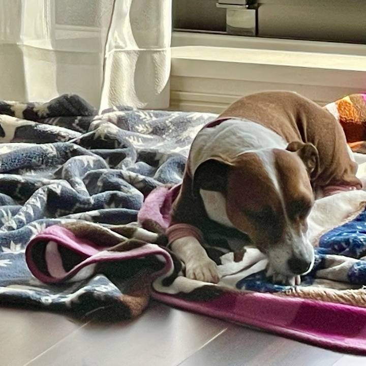 80e4119c 72bc 4856 823d c26376a31e7c 1644543641584