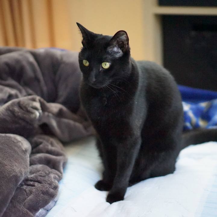 80e42e54 23c6 4b05 a16a 3492f2cf49b7 1555732994241