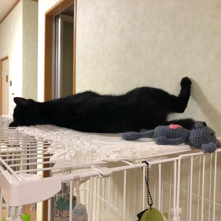 80e43e9b b4e4 4231 9a76 0bbe6f0da3ec 1534947931728