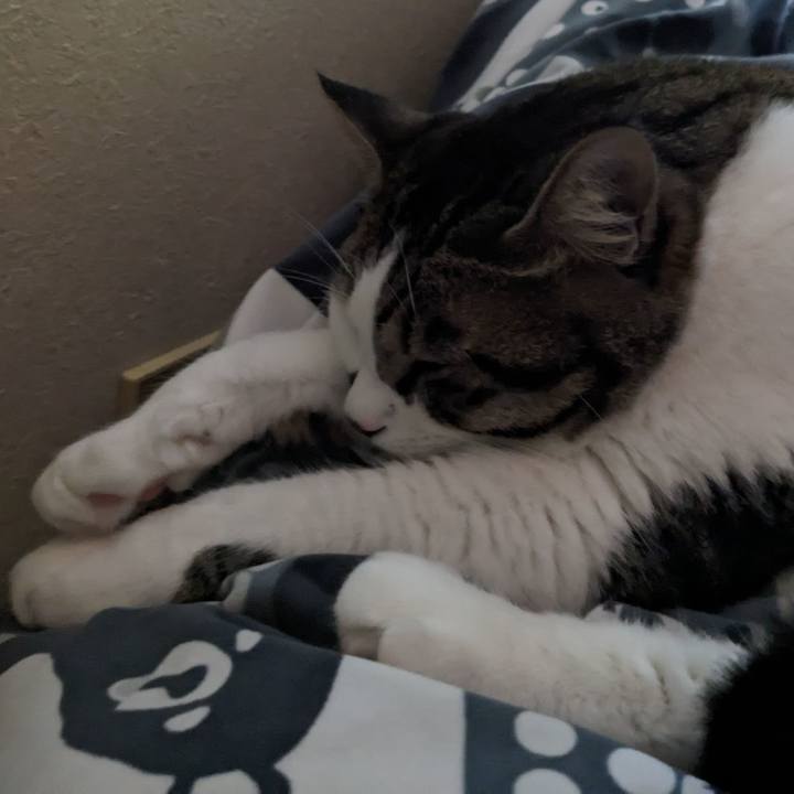 80e4411b 263a 48af a60c d46a1022f173 1691810538188