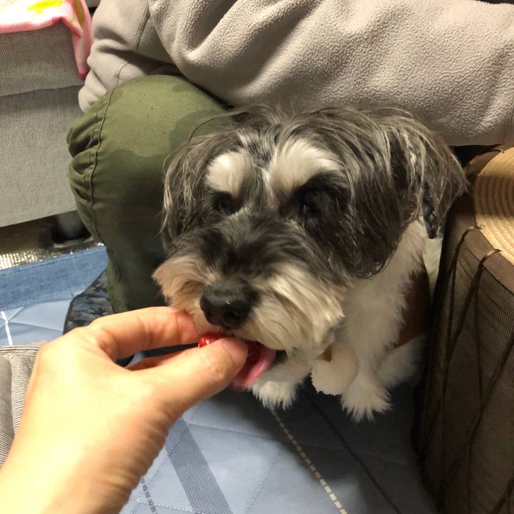 80e452eb df9e 45aa 8e73 cae168acb555 1703417815198