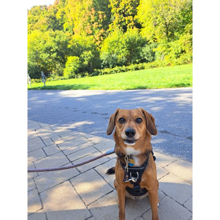 80e45e25 34b8 4469 baf5 947e71465135 1759714060166