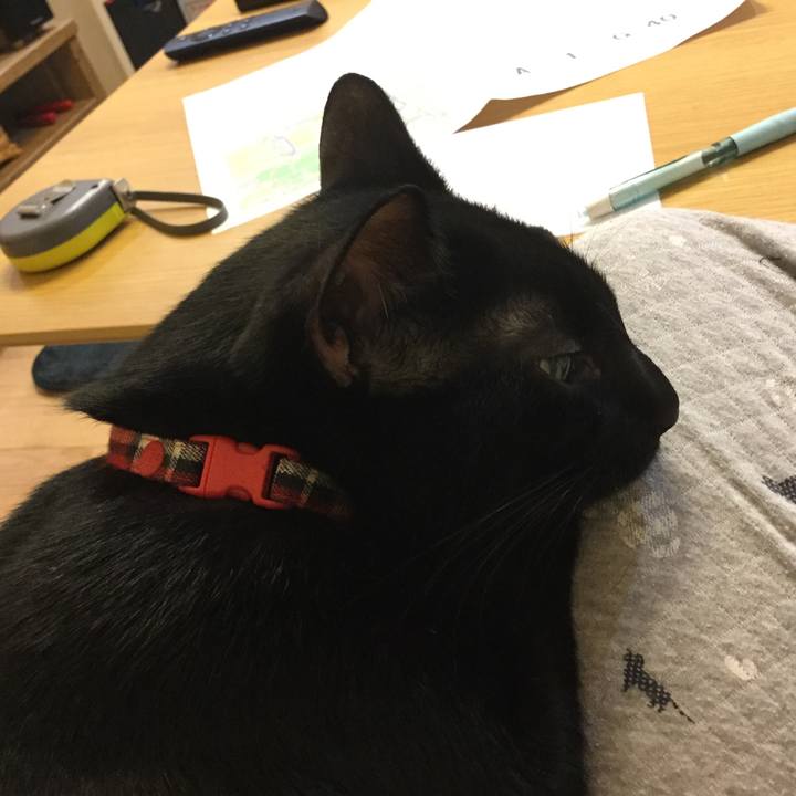 80e4d80d 7074 48cd bbe6 facaf192f2fa 1510616584135