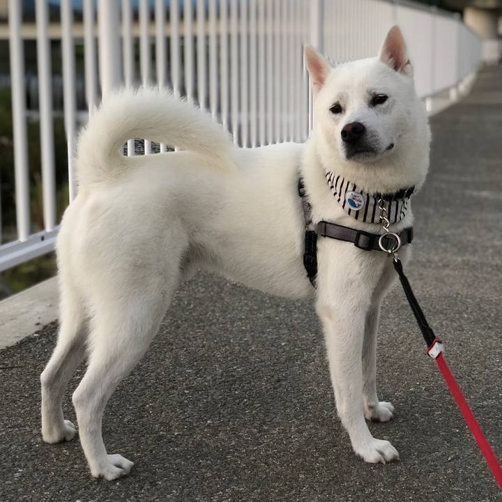 80e4e824 da2c 41ad 9a6d 664c2b9d373d 1564521470667