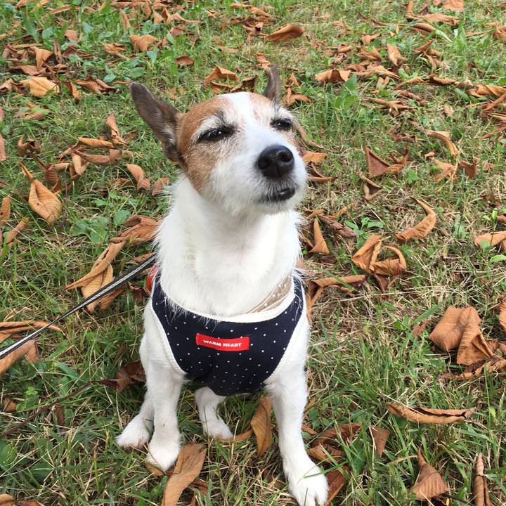 80e53b04 6f68 481a b7ff d946d3122033 1604013798107