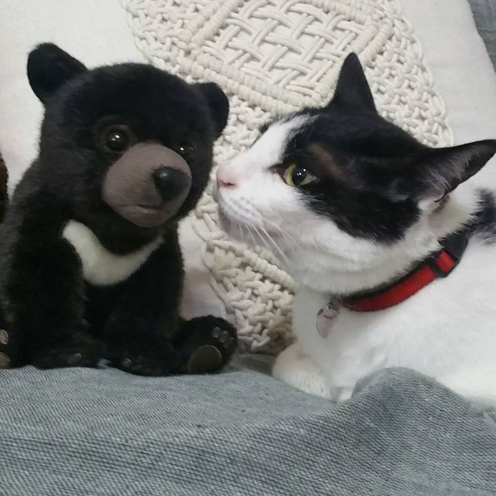 80e56f24 25f3 40d0 9755 43a99338f80e 1567033805826